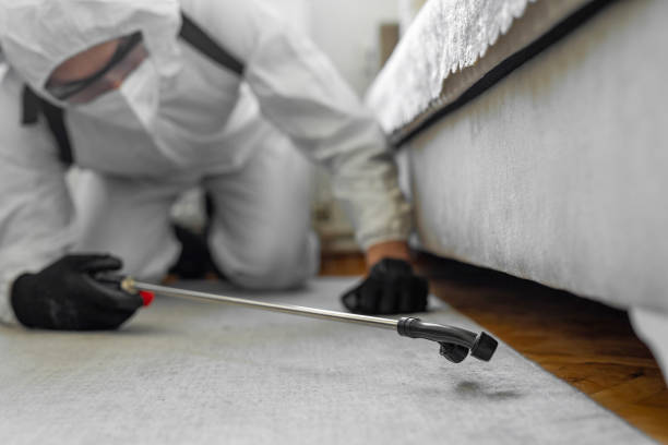 Professional Bed Bug Control technician working in Hartley County County, TX